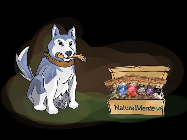 Husky con un masticable en la boca junto a su caja NaturalMente